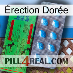 Érection Dorée new03